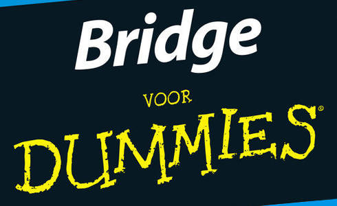 Bridge voor dummies